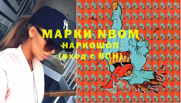 прущие грибы Волосово