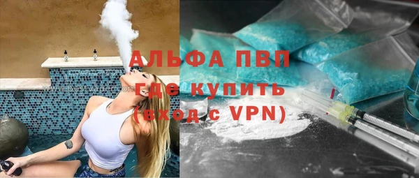 прущие грибы Волосово