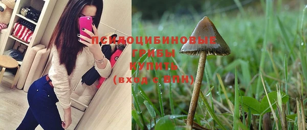 прущие грибы Волосово