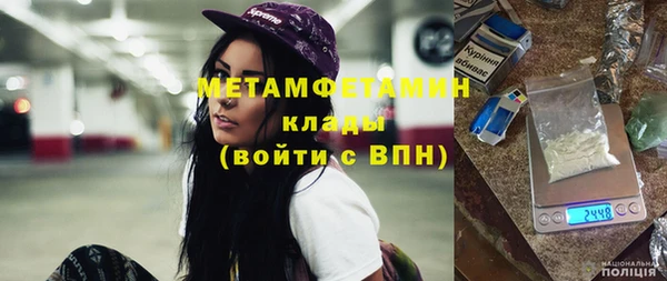 прущие грибы Волосово
