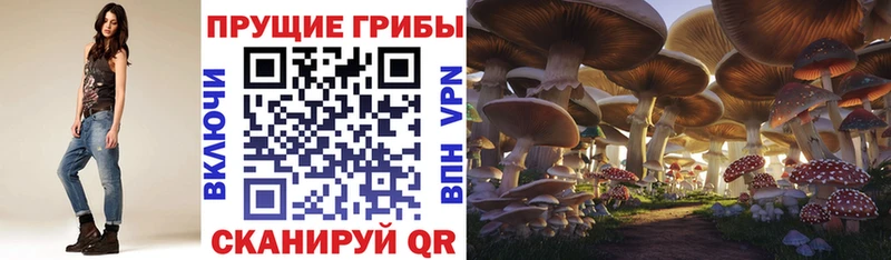 Галлюциногенные грибы MAGIC MUSHROOMS  Купить  Новопавловск 